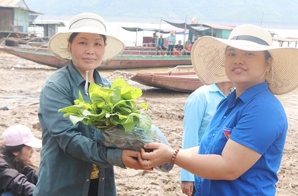 Trường Trung cấp Luật Tây Bắc chung tay cùng xã Nam Phong, huyện Phù Yên, tỉnh Sơn La trồng cây, trồng rừng