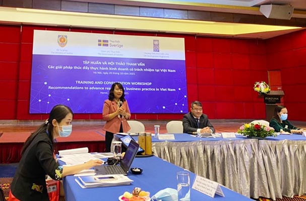 Tập huấn và Hội thảo tham vấn “Các giải pháp thúc đẩy thực hành kinh doanh có trách nhiệm tại Việt Nam”