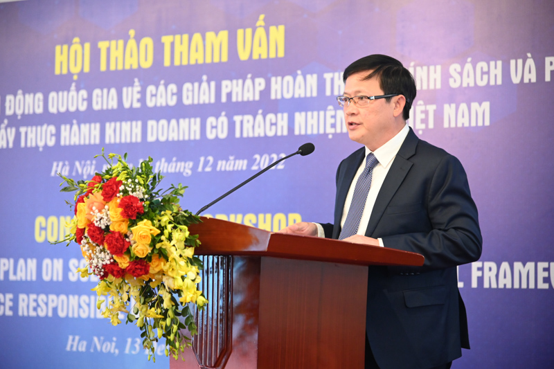 Hoàn thiện chính sách pháp luật thúc đẩy thực hành kinh doanh có trách nhiệm tại Việt Nam