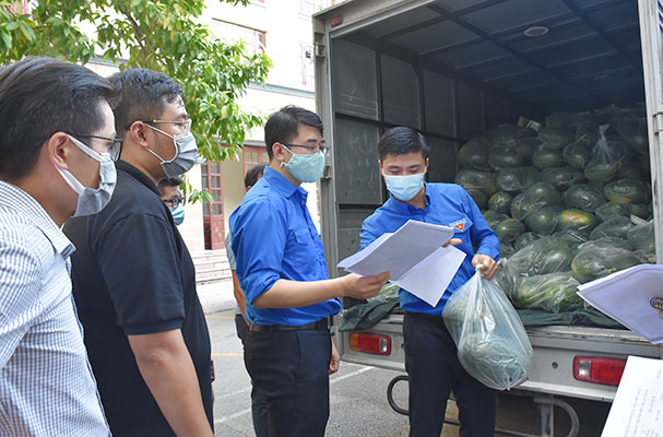 Đoàn thanh niên Bộ Tư pháp chung tay hỗ trợ tiêu thụ hơn 3 tấn dưa hấu cho nông dân Bắc Giang